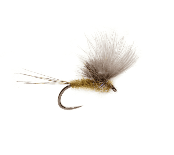 McPhail CDC Olive Dry Fly