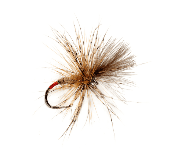 McPhail Grunter Hare's Ear Trout Dry Fly