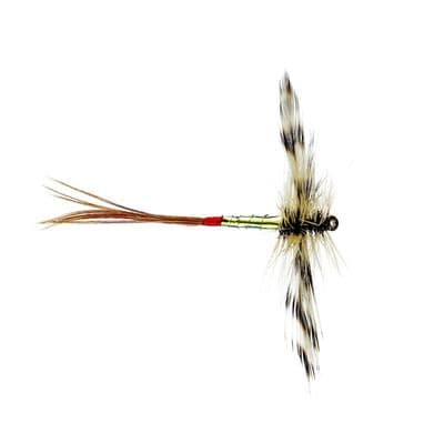 Mirage Spent Male Mayfly