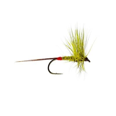 Mosley Mayfly