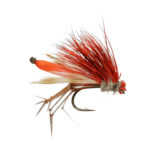 Orange Daddyhog Trout Fly