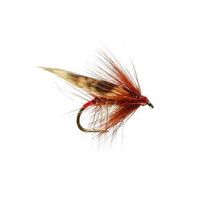 Red Arsed Green Peter Sedge