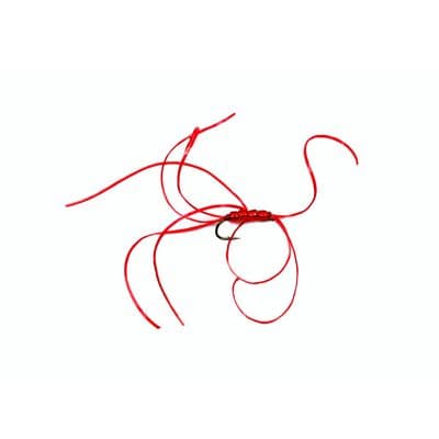 Red Beaded Quad Blood Worm