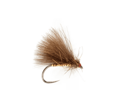 Roza's Gold Body Olive