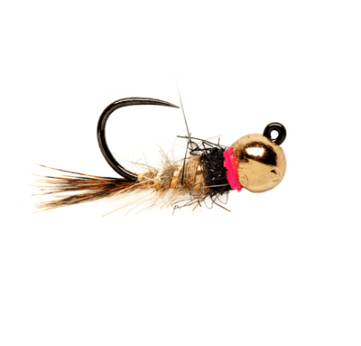 Roza's Hare's Ear Jig