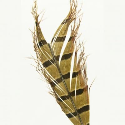 Semperfli Knotted Hopper Legs Natural