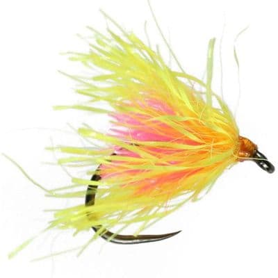 Sunburst Jelly Fish Blob