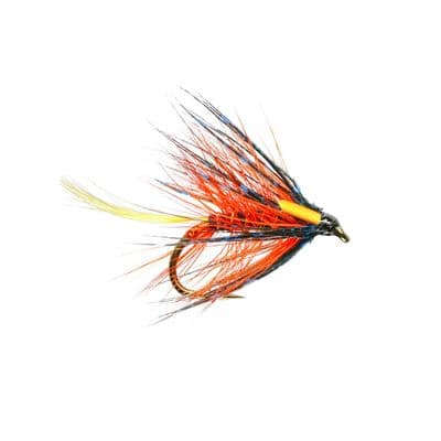 Thunder & Lightning Trout