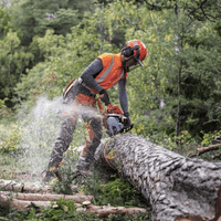 Husqvarna 550 XP