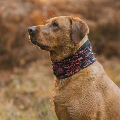 Arbortec AT048 Icon Neck Snood - Pink - Live the Tree life
