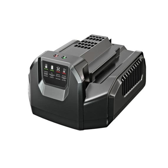 EGO CH2100E Standard Battery Charger