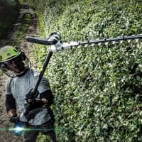 EGO HTX5300-PA 53cm Pro X Long-reach Articulating Pole Hedgetrimmer