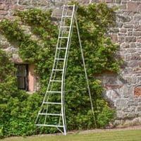 Hendon Standard Tripod Ladder