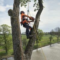 Husqvarna T540 XP Arborist Top Handle Chainsaw
