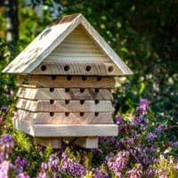 Interactive Solitary Bee Hive Flip Top