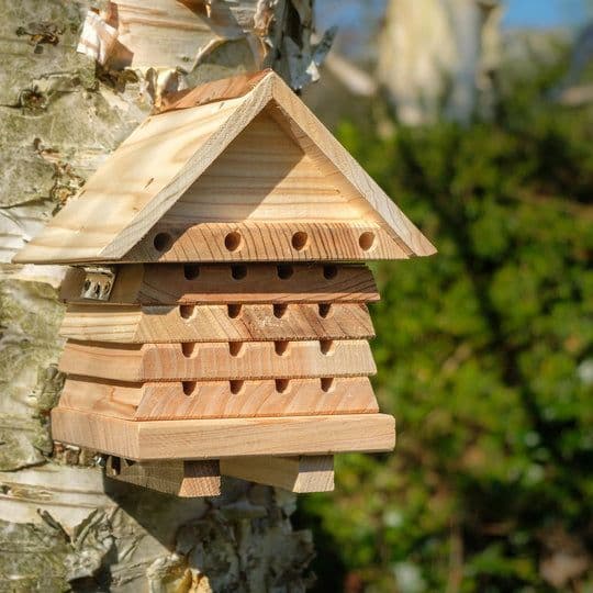 Interactive Solitary Bee Hive Flip Top