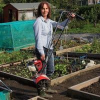 Mantis Petrol Classic Tiller 7263-12-14