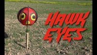 Portek HawkEye Bird Scarer - Single