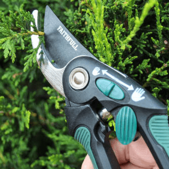 Secateurs