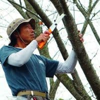 Silky (717-27) - Gomboy Curve Professional Saw 270mm