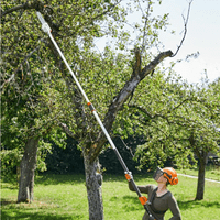 Stihl HTA 135 AP Cordless Pole Pruner