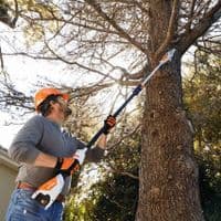 Stihl HTA 50 Cordless Pole Saw