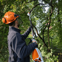 Stihl HTA 66 AP Cordless Pole Saw