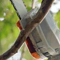 Stihl HTA 86 AP Cordless Long Reach Pole Saw