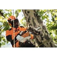Stihl MSA 161 T AP Cordless Top Handle Chainsaw 12