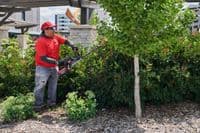 TORO 66220T 60V Cordless Hedgetrimmer