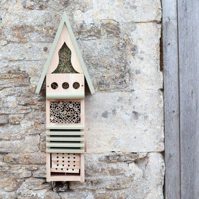 Wildlife Wolrd Insect Study Centre Hotel