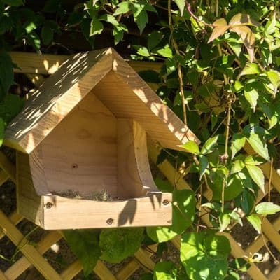 Wildlife World Blackbird Nest Box