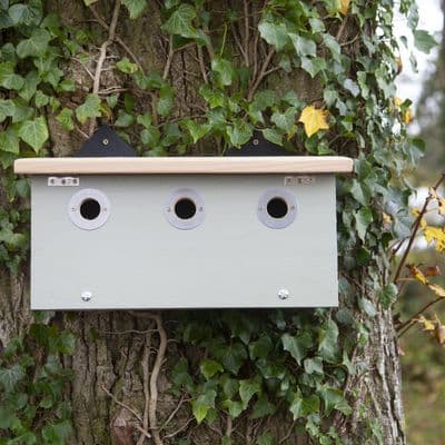 Wildlife World Conservation Sparrow Nester Bird Box