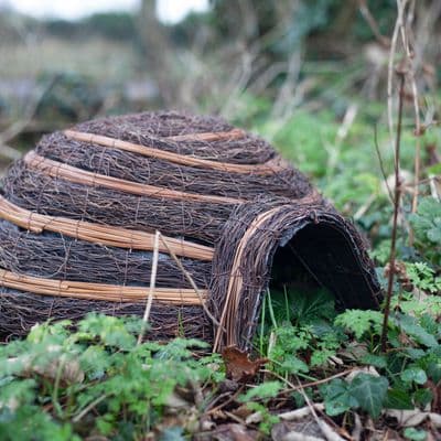 Wildlife World Hedgehog Igloo Home