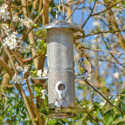Wildlife World Stainless Steel Bird Feeder - Small