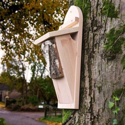 Wildlife World Tree Creeper Nest Box