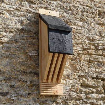 Wildlife World Vincent Pro Bat Box