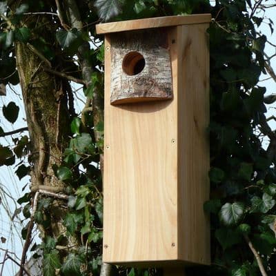 Wildlife World  Woodpecker Nest Box