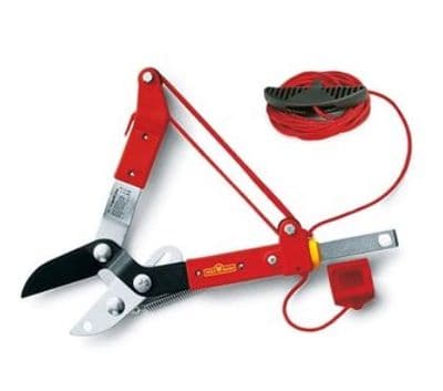 Wolf RCM Anvil Tree Pruner
