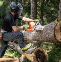 Zamberlan Logger Pro GTX Acid Green Boots