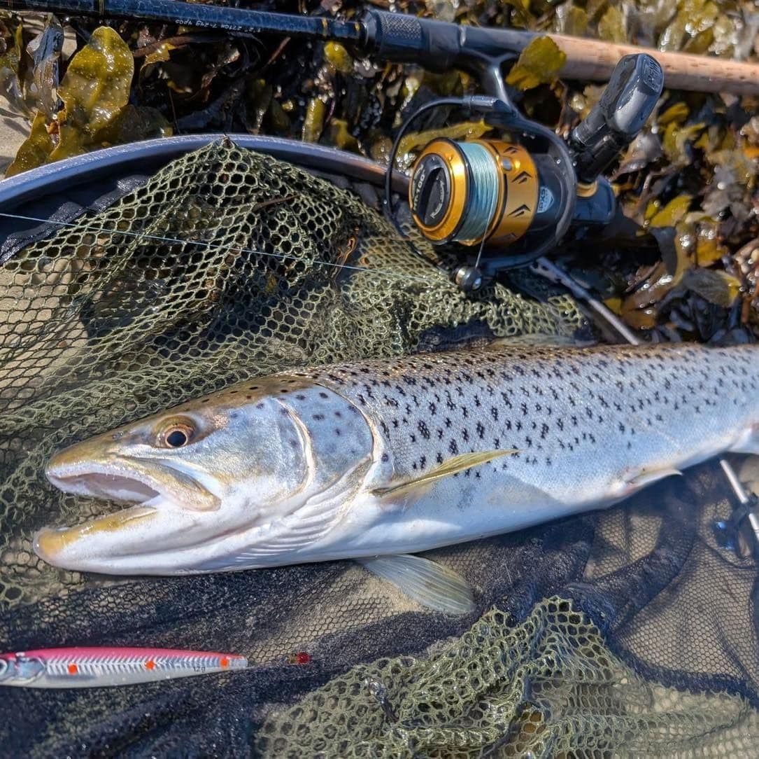 April 2025 Catch Report