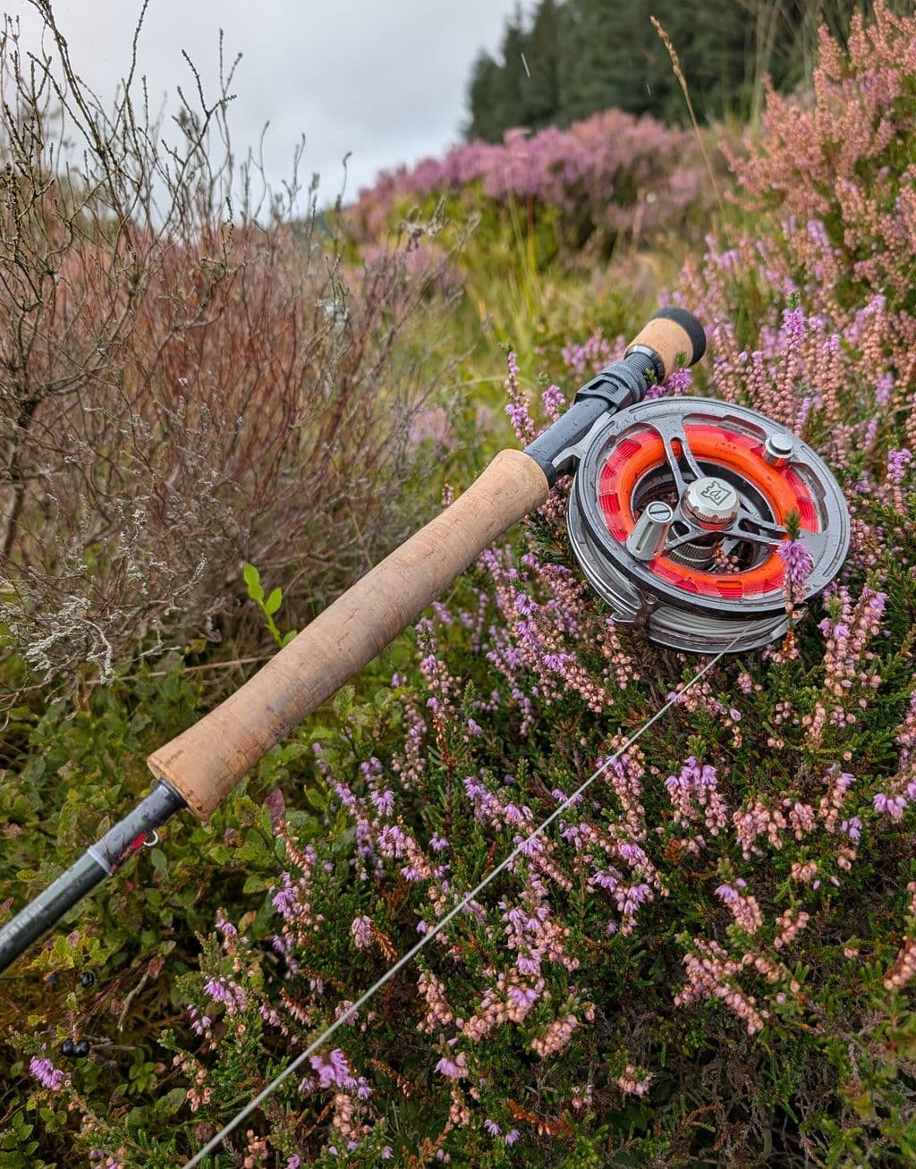 Sage R8 Core 10 Foot 5 weight fly rod UK review - The ultimate fly rod?