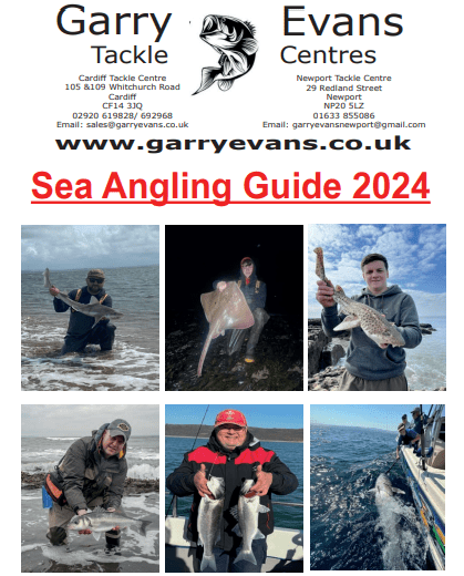 Cardiff, Newport and Swansea, Sea Angling Guide 2024
