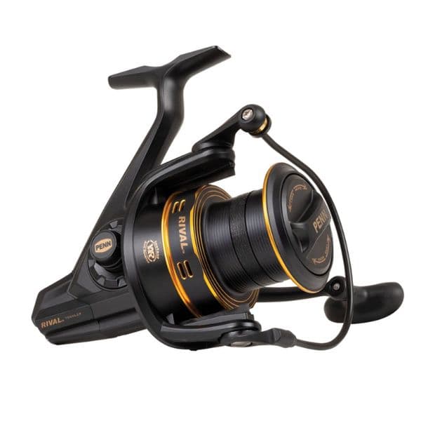 Penn Rival LC Gold Reels
