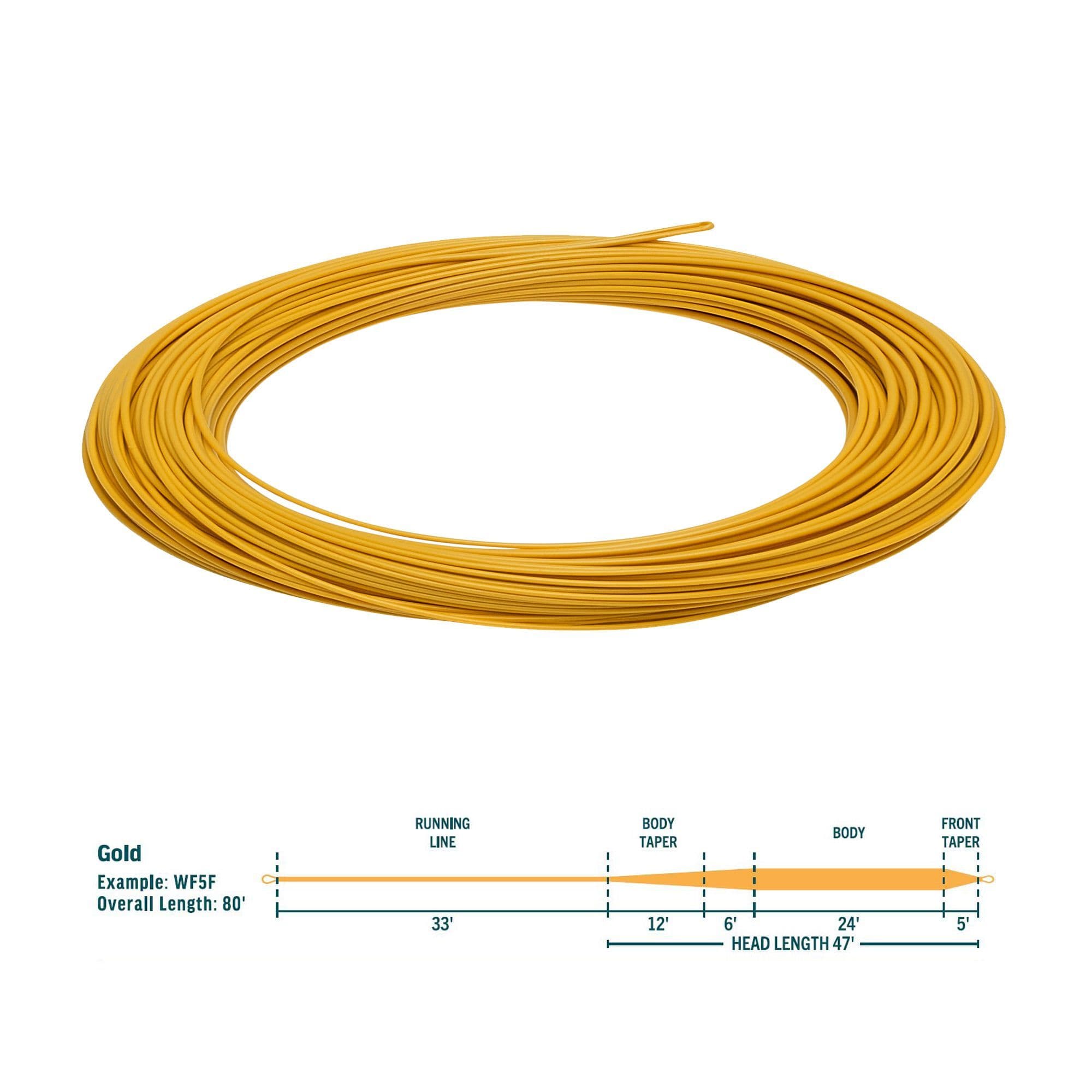 RIO Avid Gold Fly Line