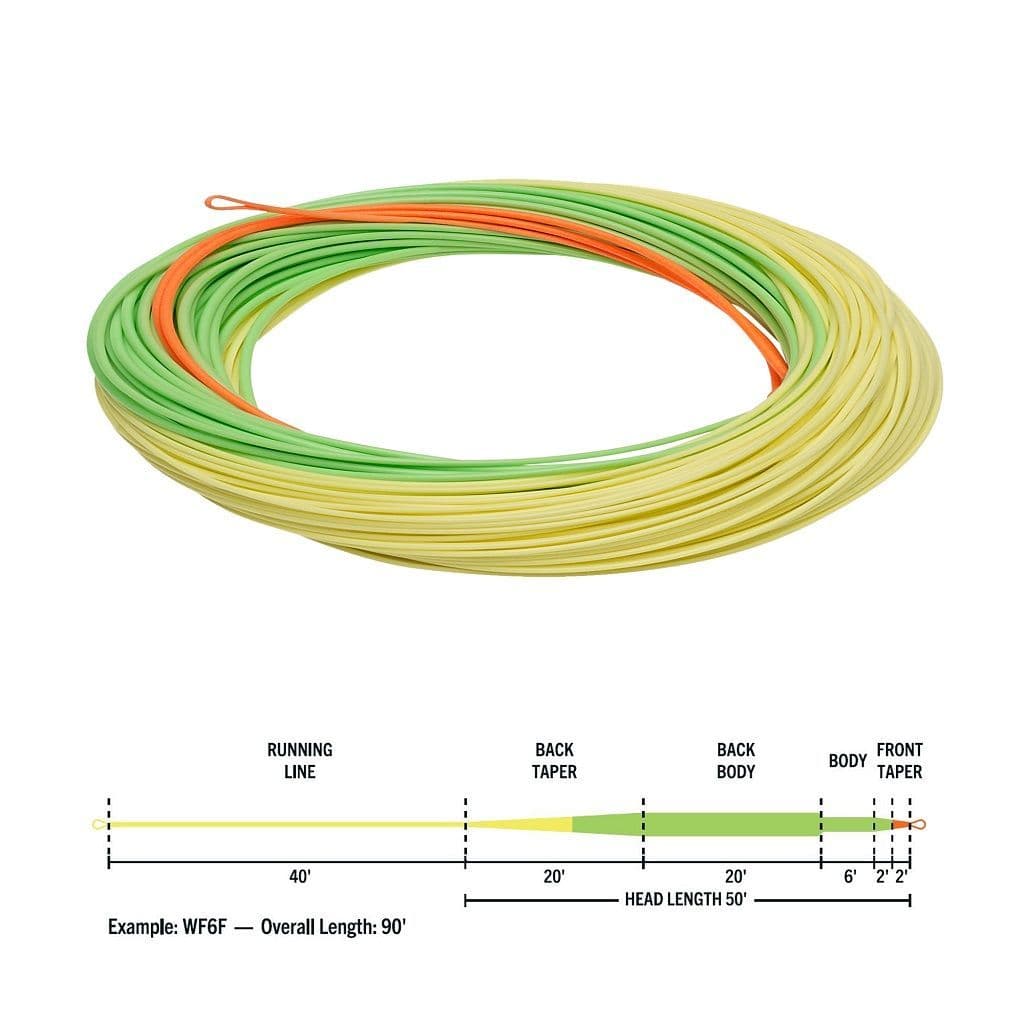 Rio Elite Stillwater Floating Fly Lines-With FREE Tippet Backing and ...
