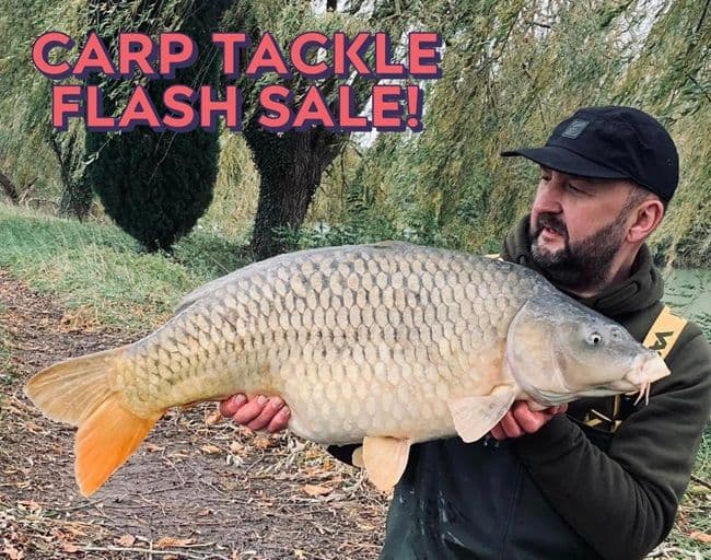 Sticky Baits Manilla Yellow Ones Pop Ups - Main Image