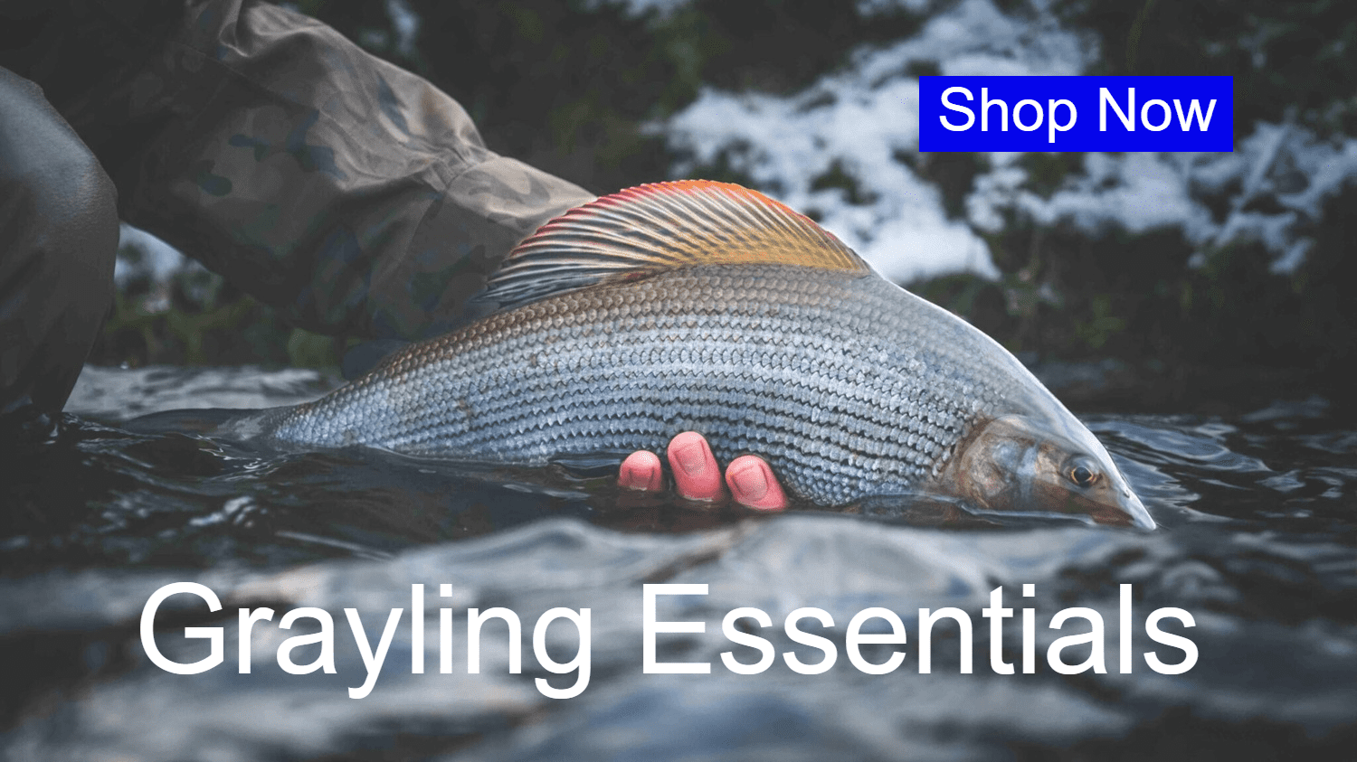 grayling fishing sale