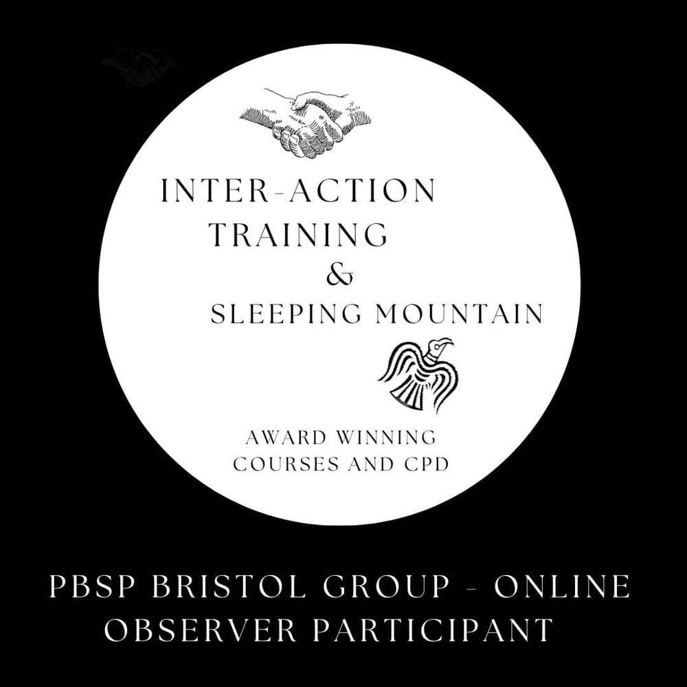 PBSP Bristol Part 1 Group Online Observer Participant