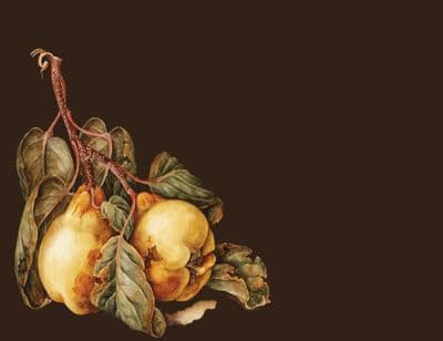 Shame, Sex, and the Body talk (Recording) with Juliet Grayson and William Ayot